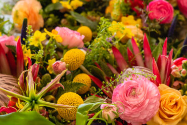The Case of the Missing Bridesmaids Dress…